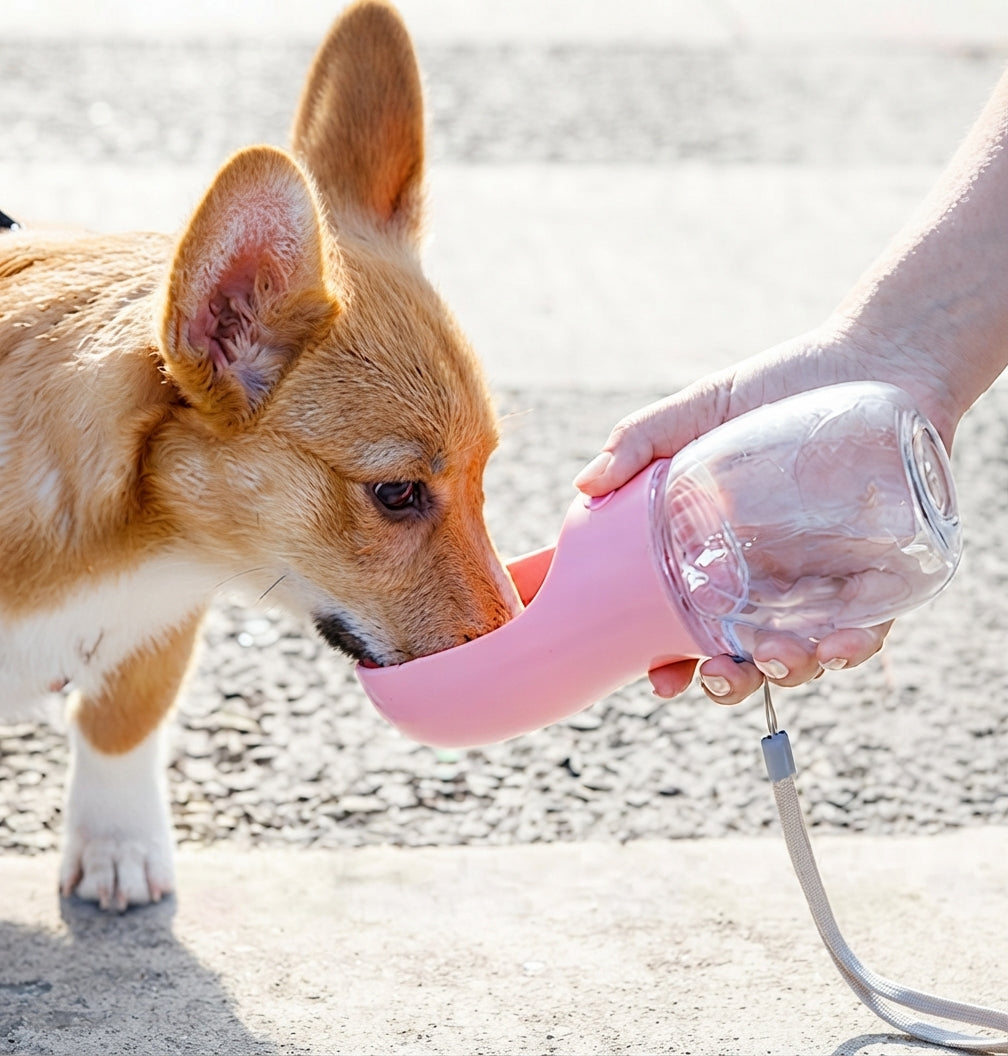Botella de Agua Portátil Antifugas para Perros
